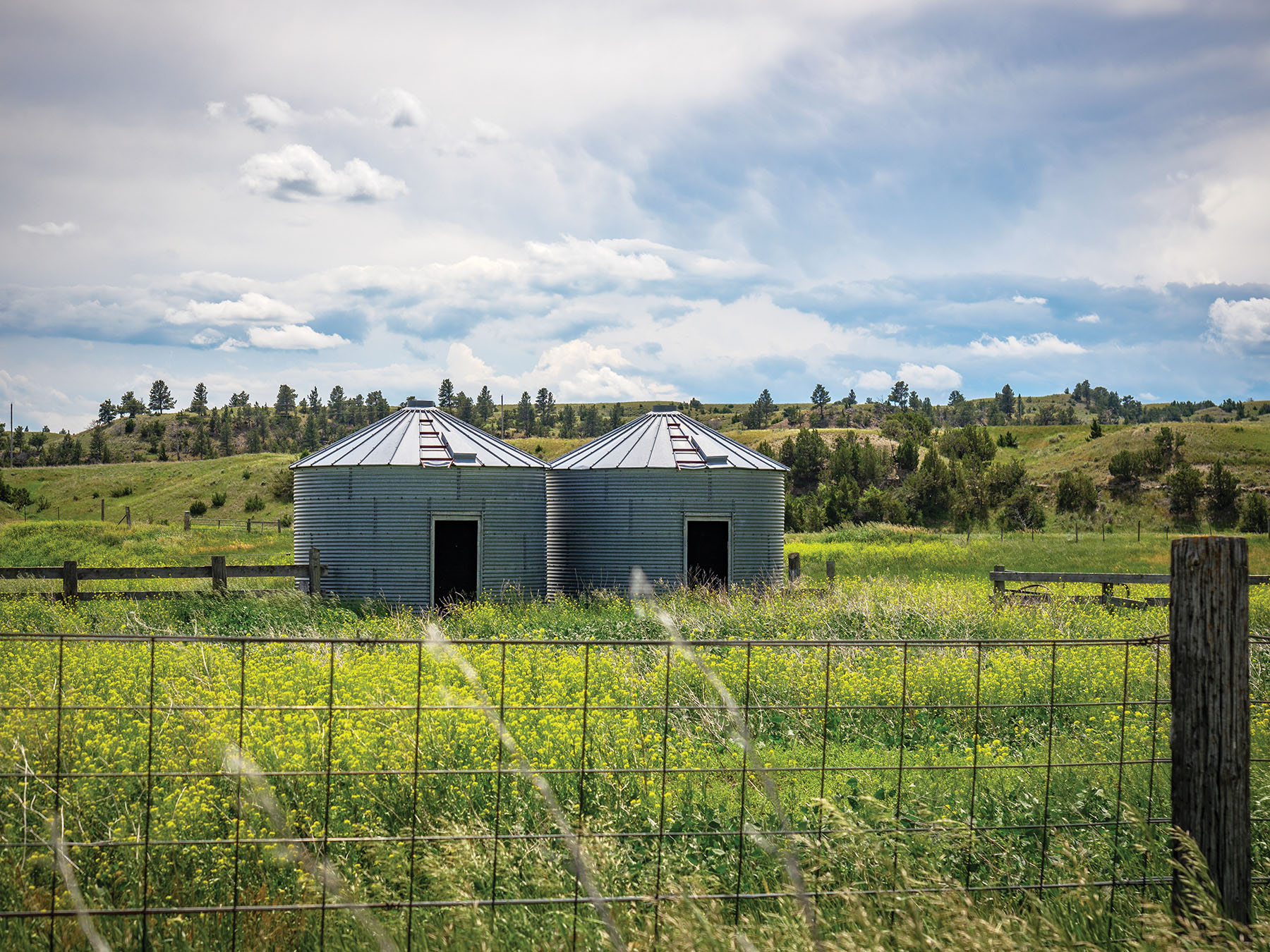 Careless Creek Ranch property picture 40 of 45