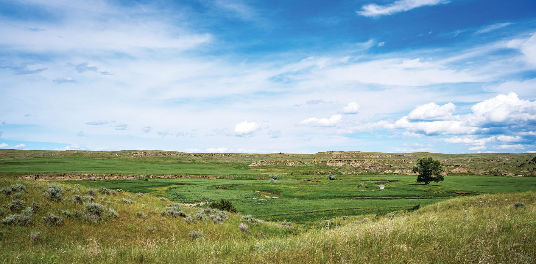 Careless Creek Ranch property picture 23 of 45