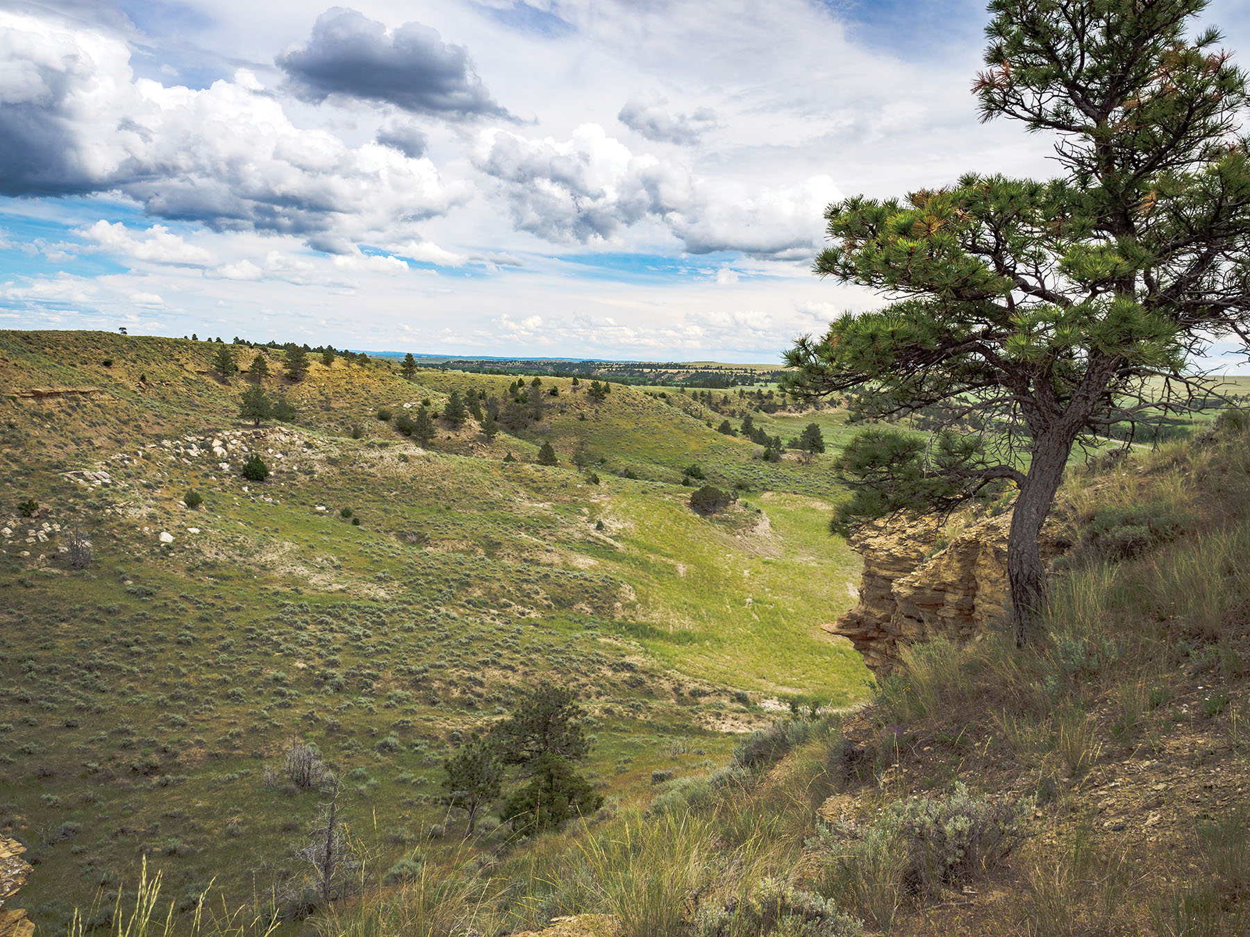 Careless Creek Ranch property picture 45 of 45