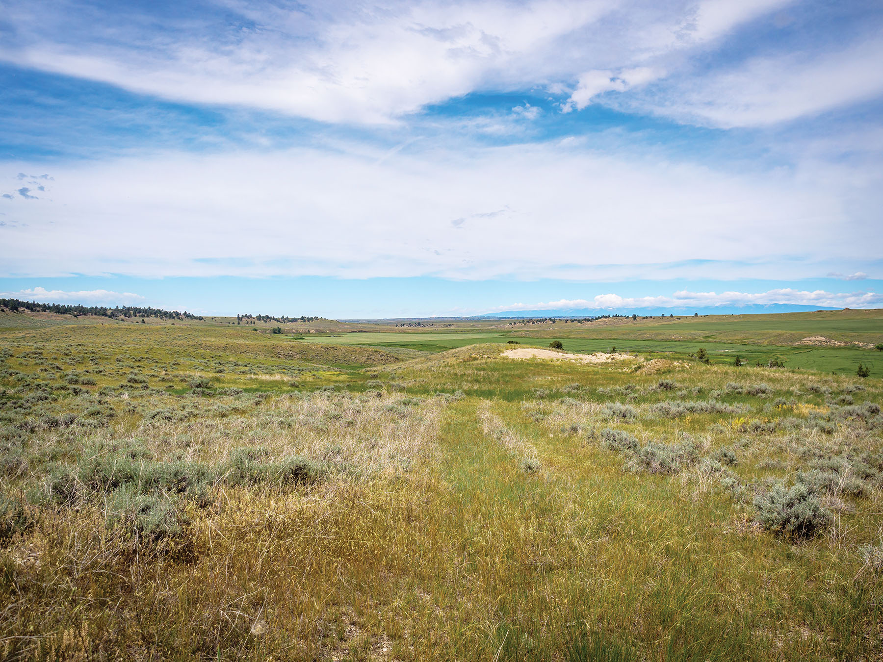 Careless Creek Ranch property picture 43 of 45