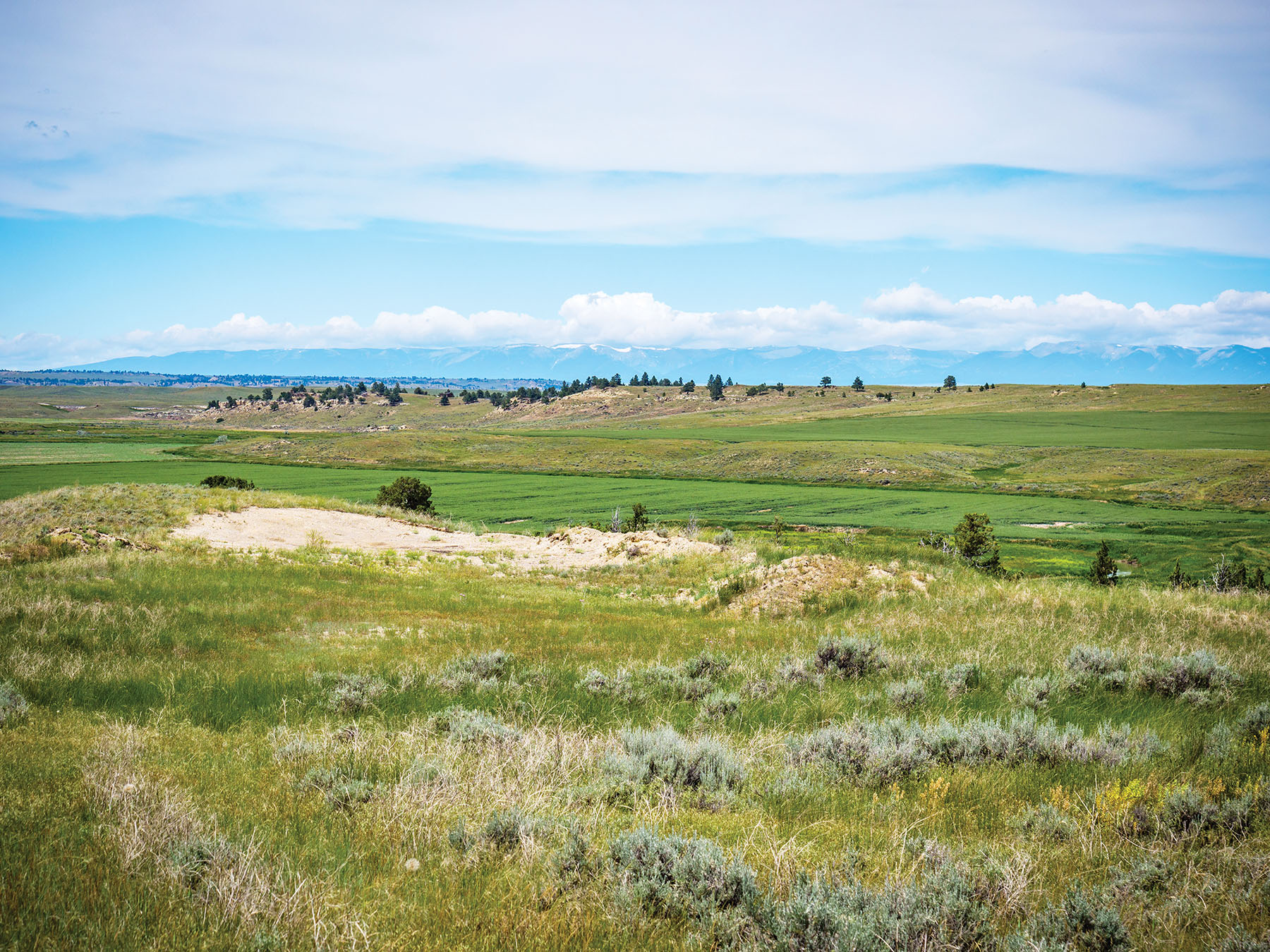 Careless Creek Ranch property picture 44 of 45