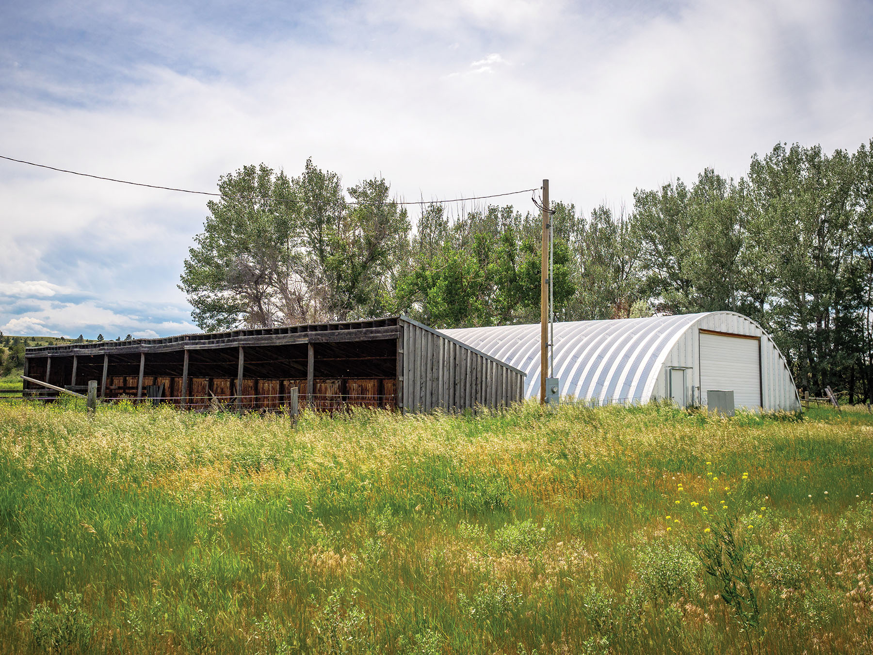 Careless Creek Ranch property picture 41 of 45