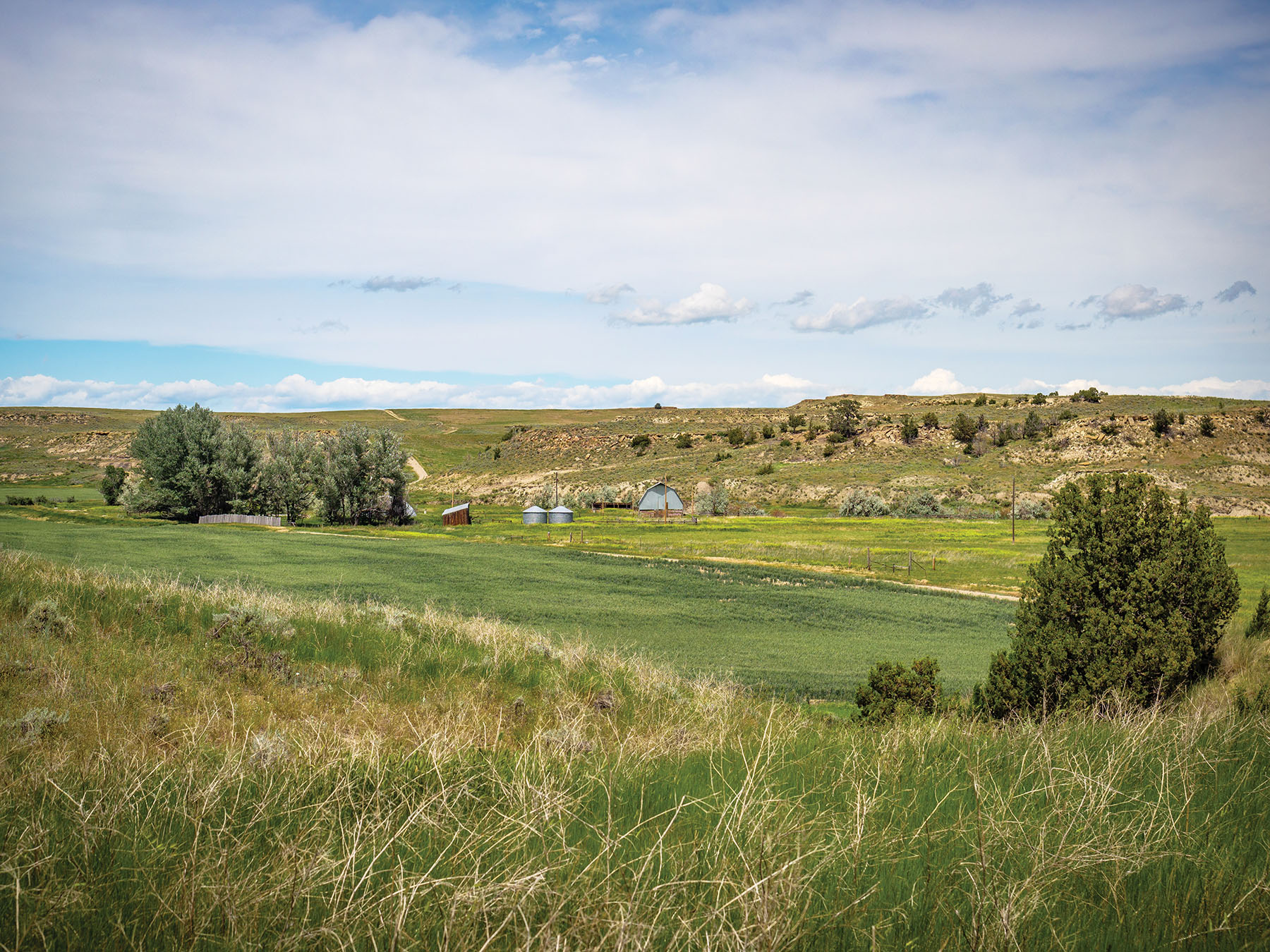 Careless Creek Ranch property picture 11 of 45