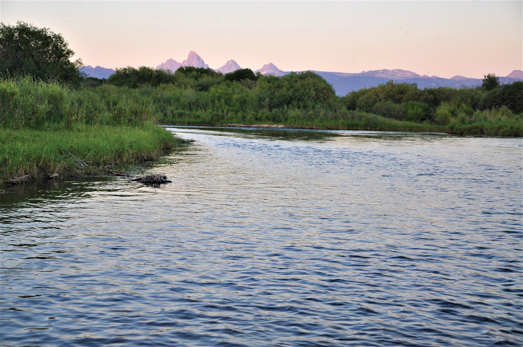 Teton River Packsaddle Retreat property picture 8 of 13