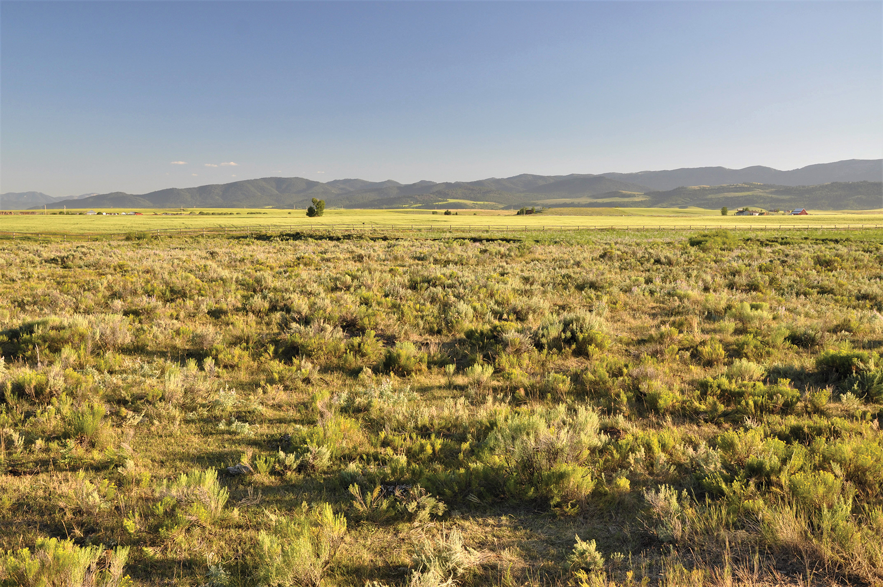 Teton River Packsaddle Retreat property picture 10 of 13