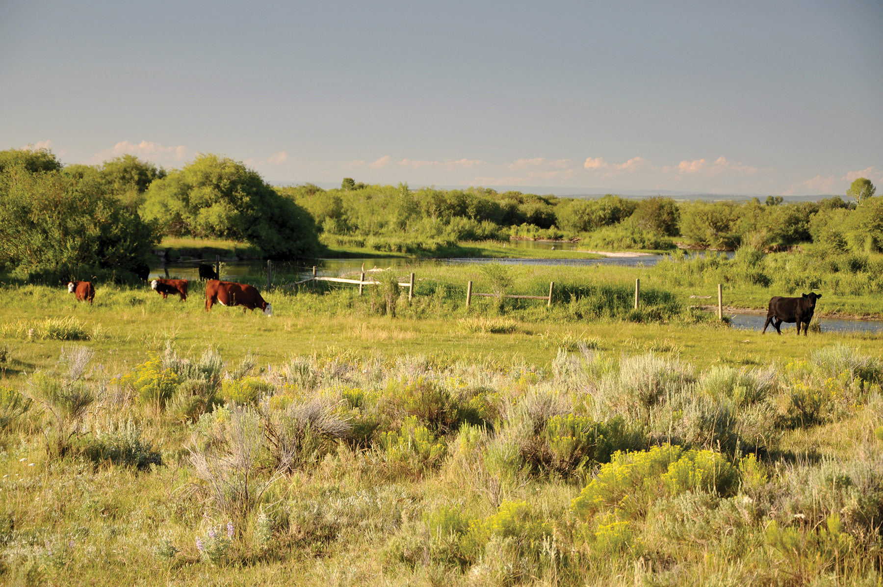 Teton River Packsaddle Retreat property picture 5 of 13