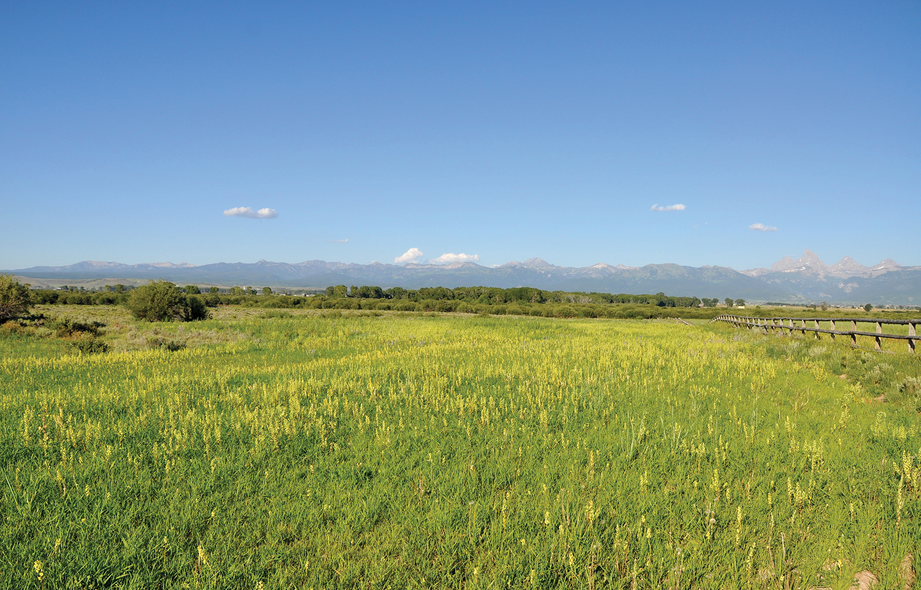 Teton River Packsaddle Retreat property picture 3 of 13