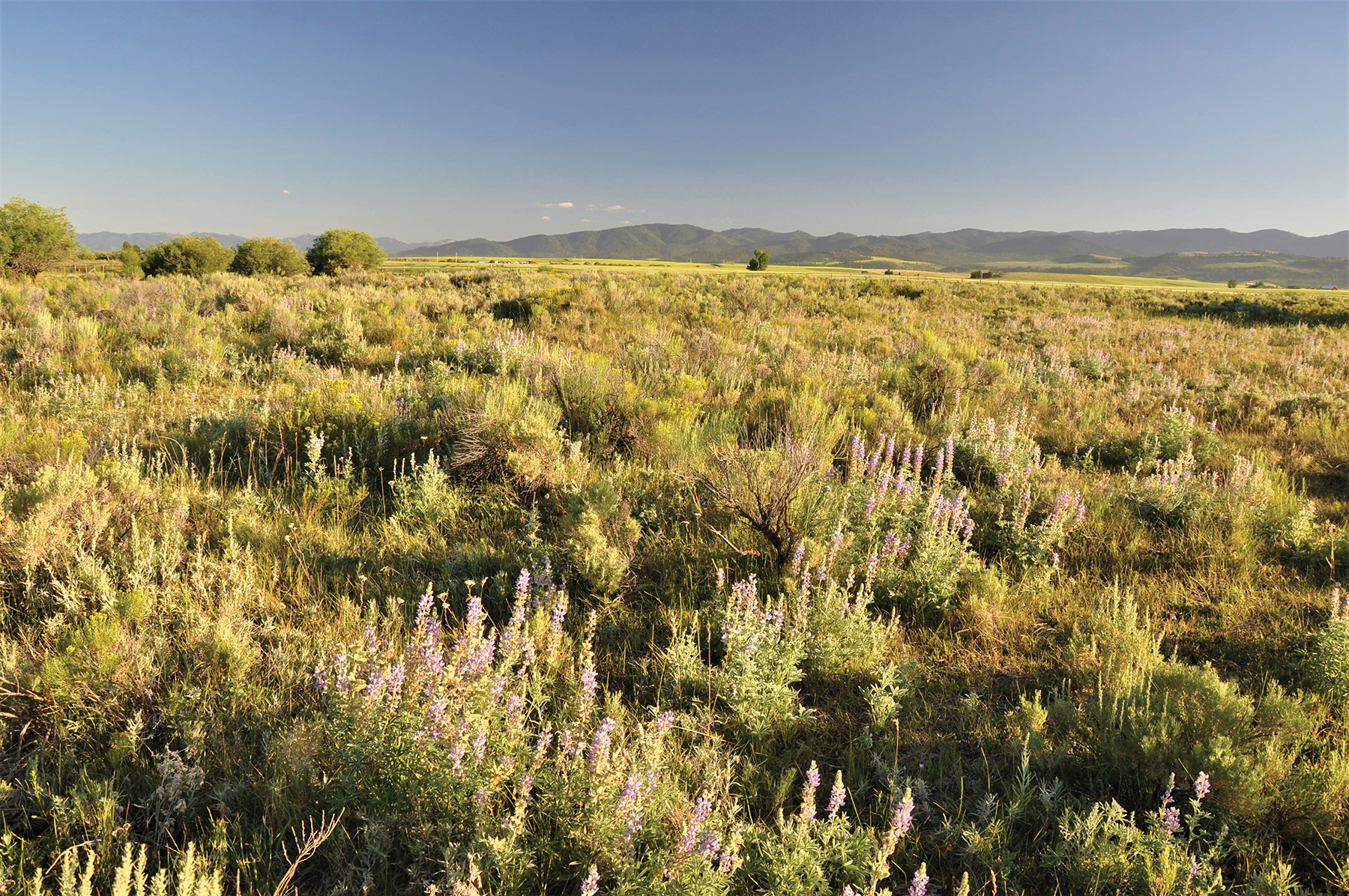 Teton River Packsaddle Retreat property picture 12 of 13