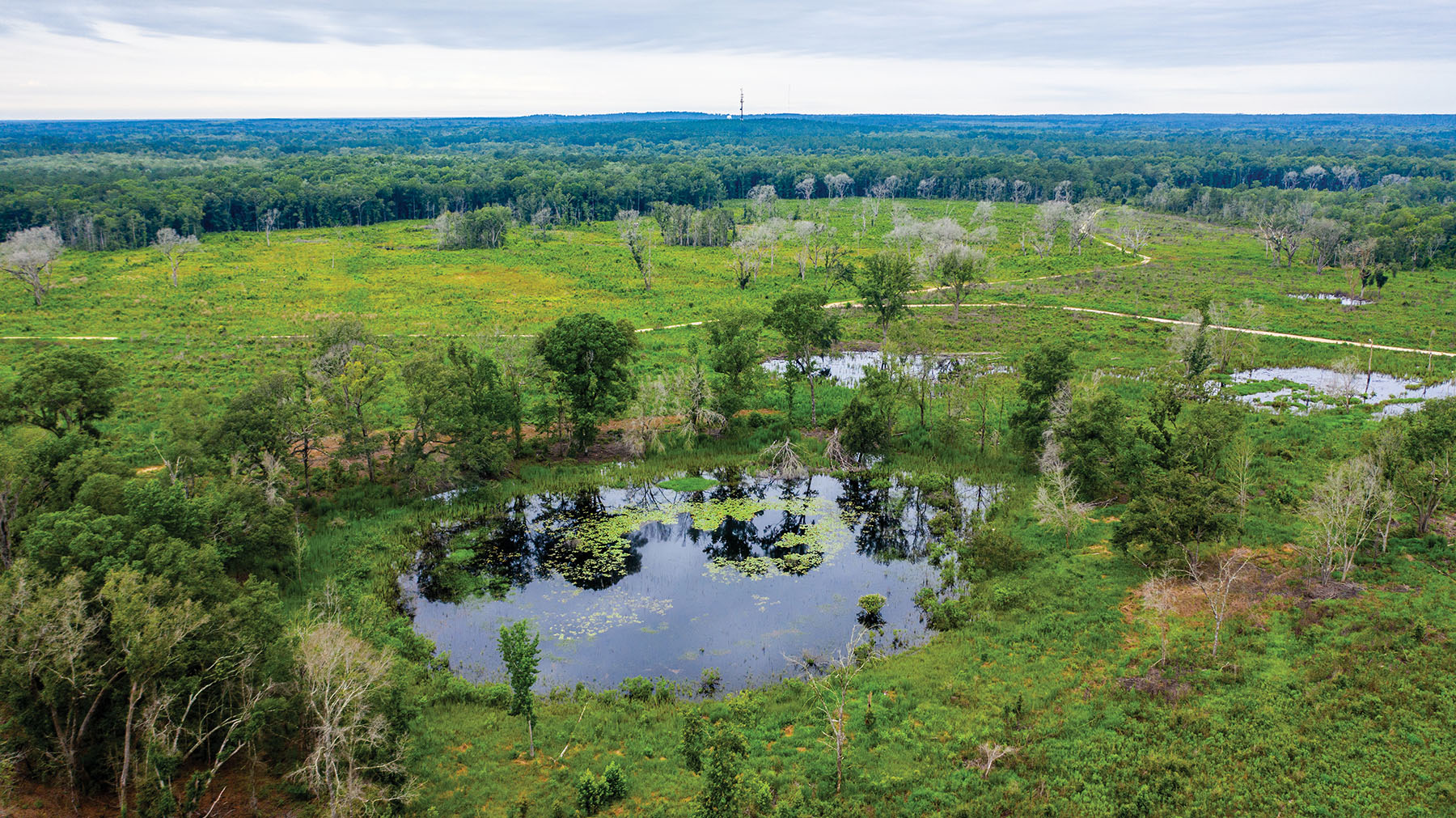 Avalon Timberlands property picture 63 of 68
