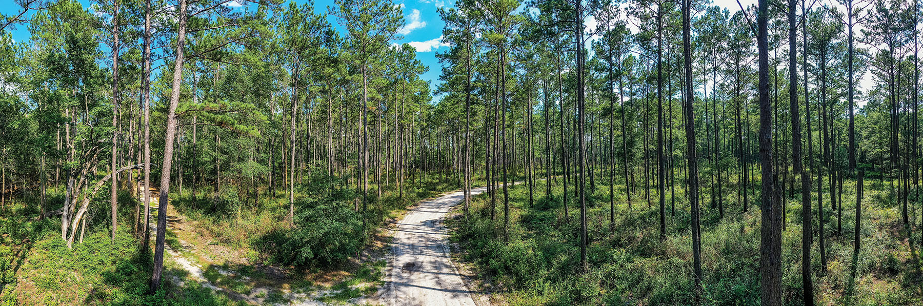 Avalon Timberlands property picture 43 of 68