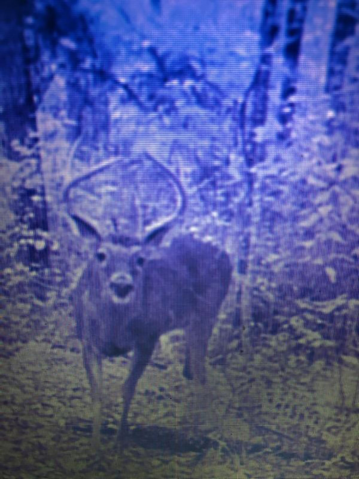 Avalon Timberlands property picture 53 of 68