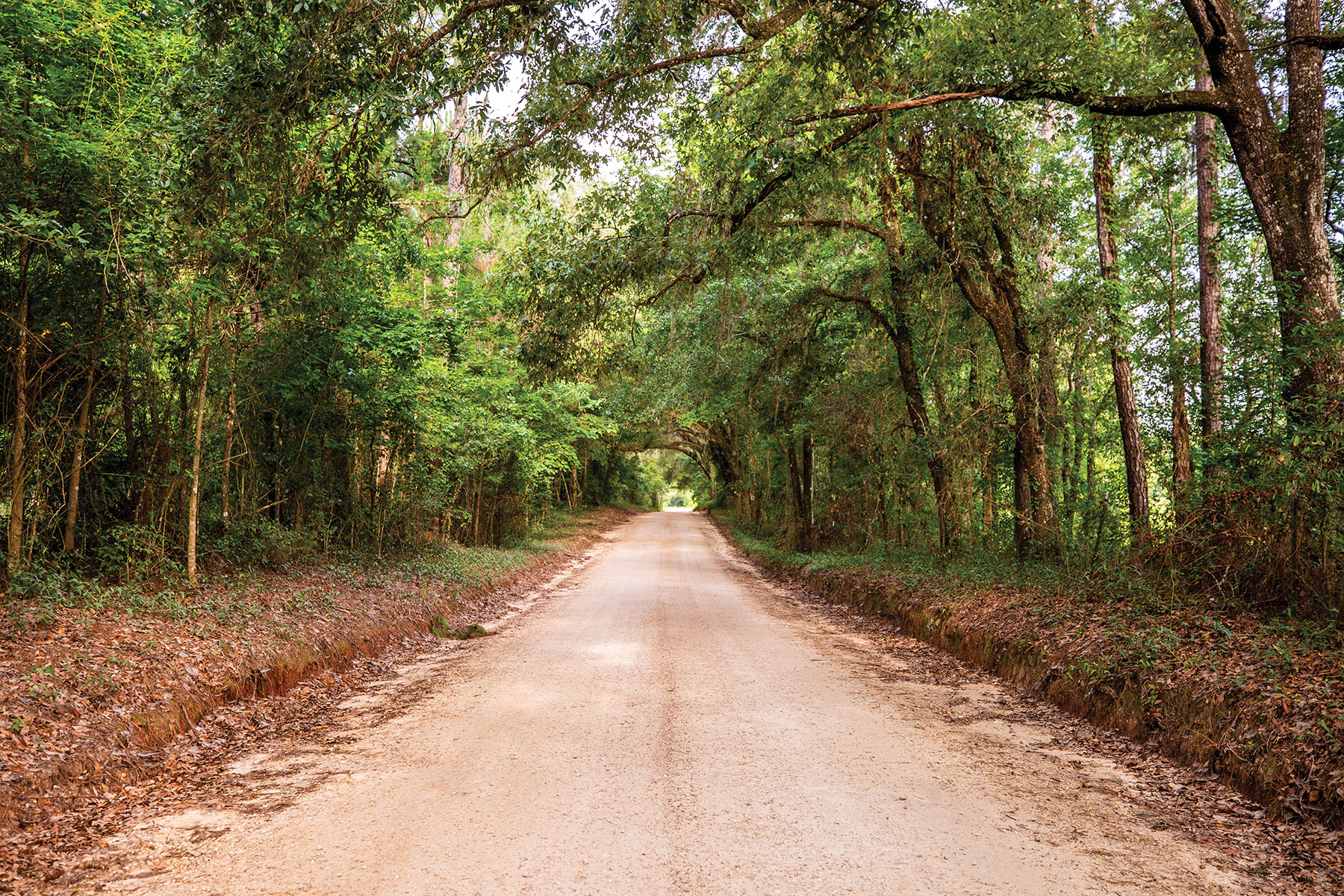 Avalon Timberlands property picture 9 of 68
