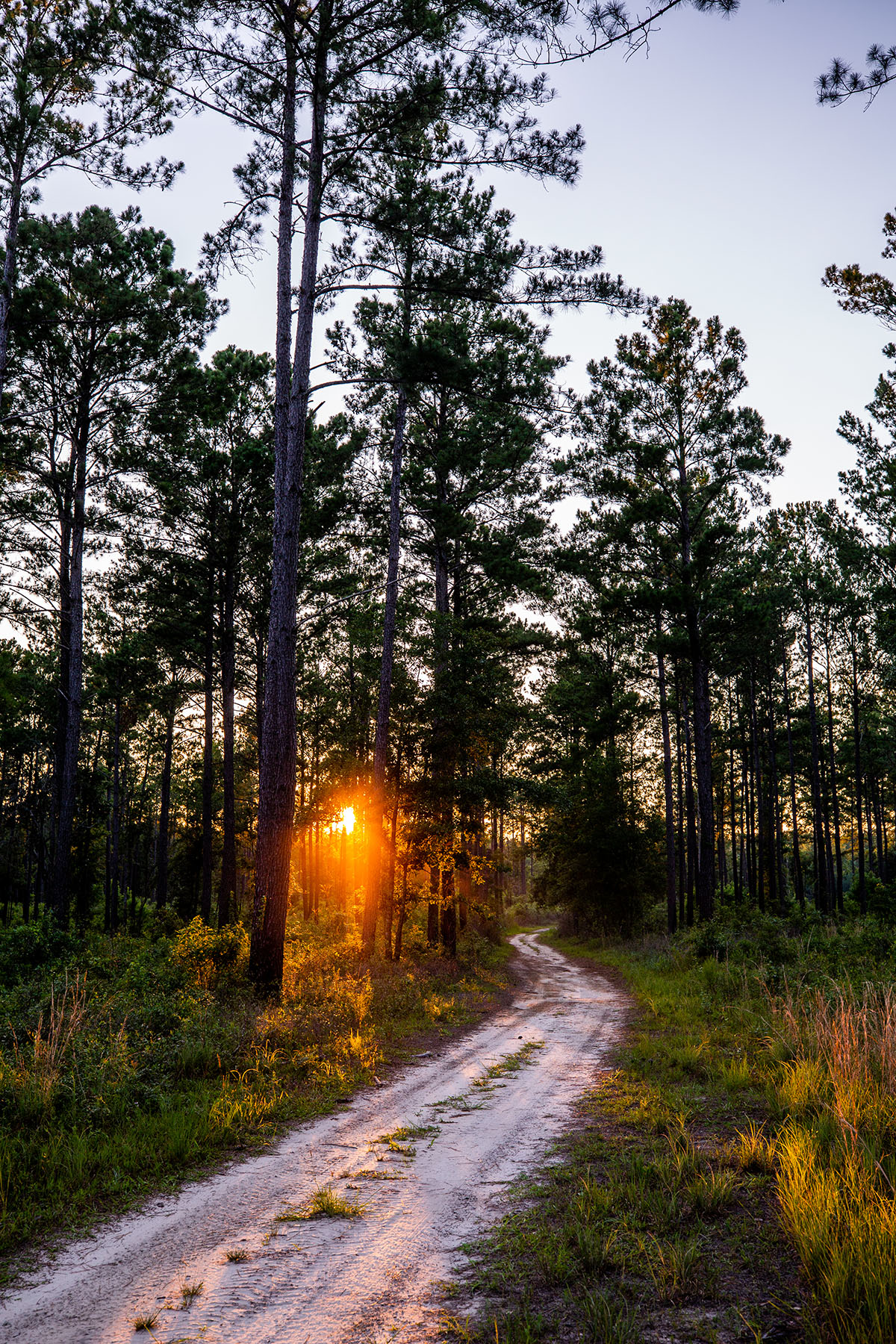Avalon Timberlands property picture 2 of 68