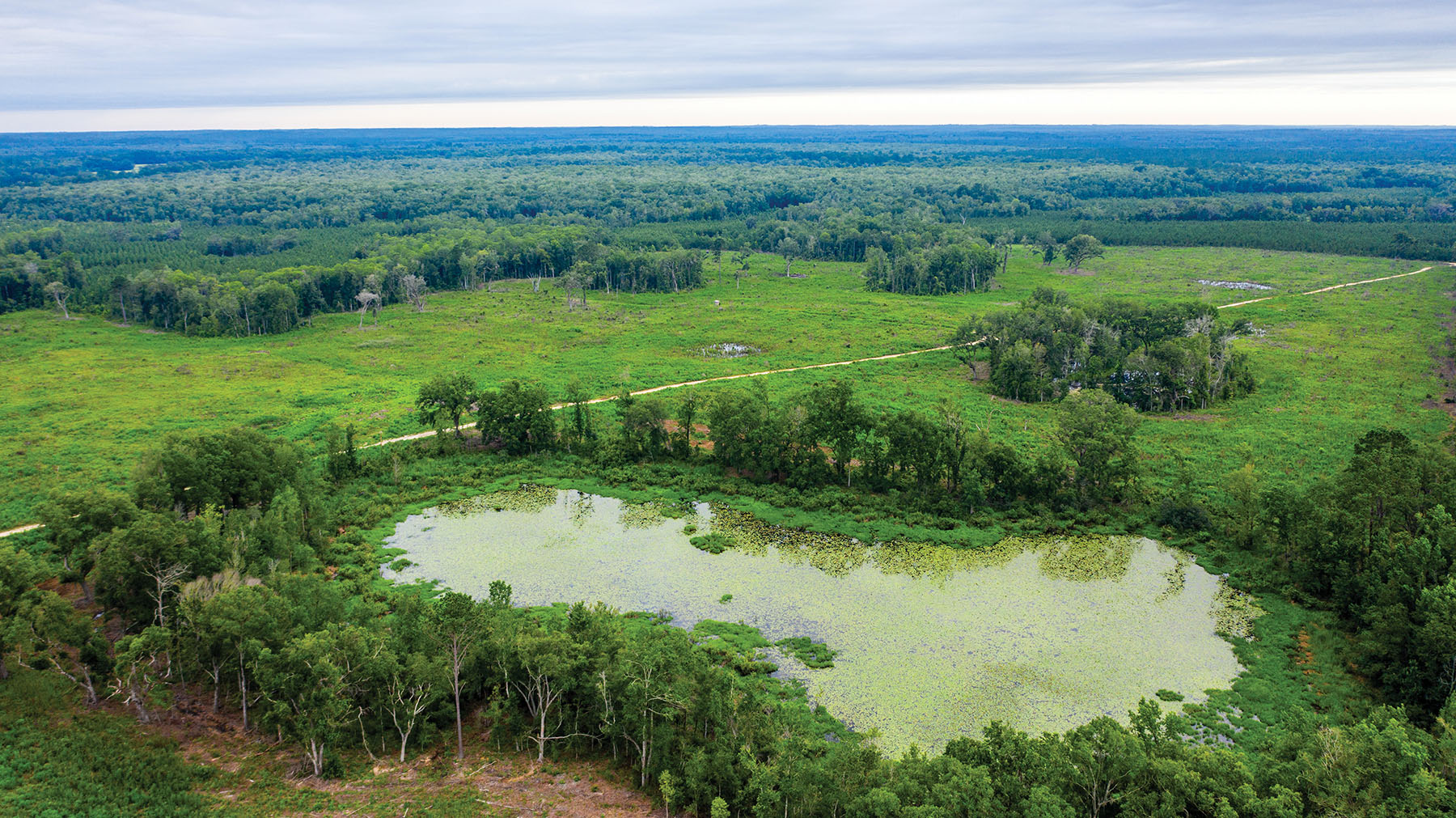 Avalon Timberlands property picture 66 of 68