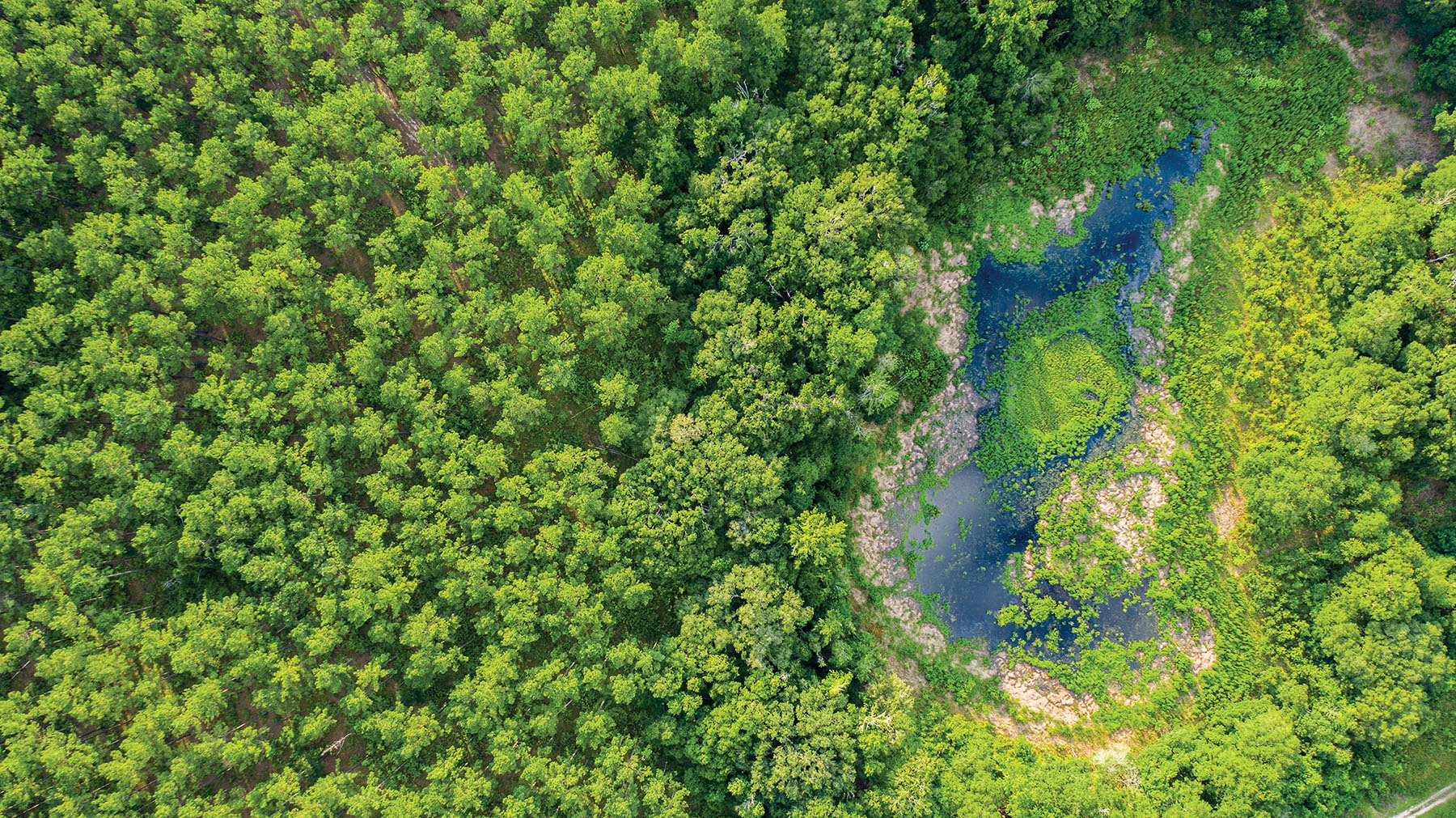 Avalon Timberlands property picture 26 of 68