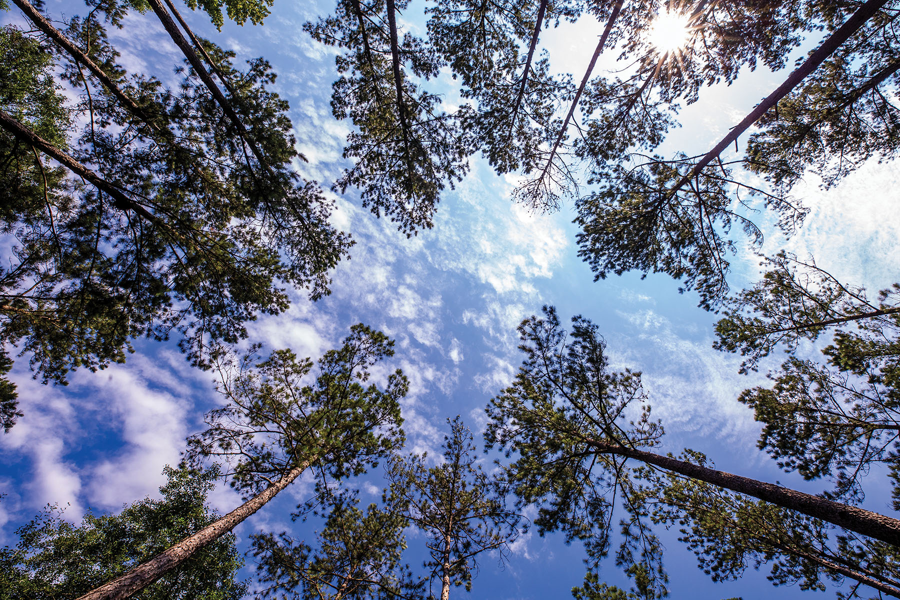 Avalon Timberlands property picture 67 of 68