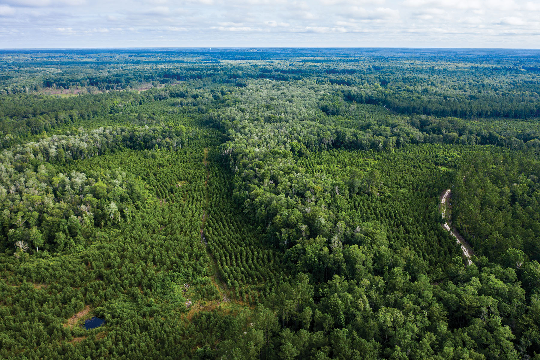 Avalon Timberlands property picture 35 of 68