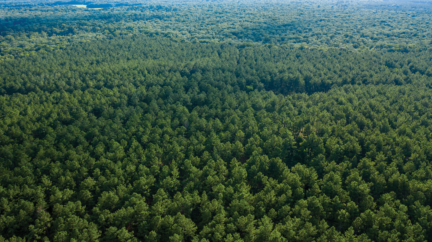 Avalon Timberlands property picture 28 of 68