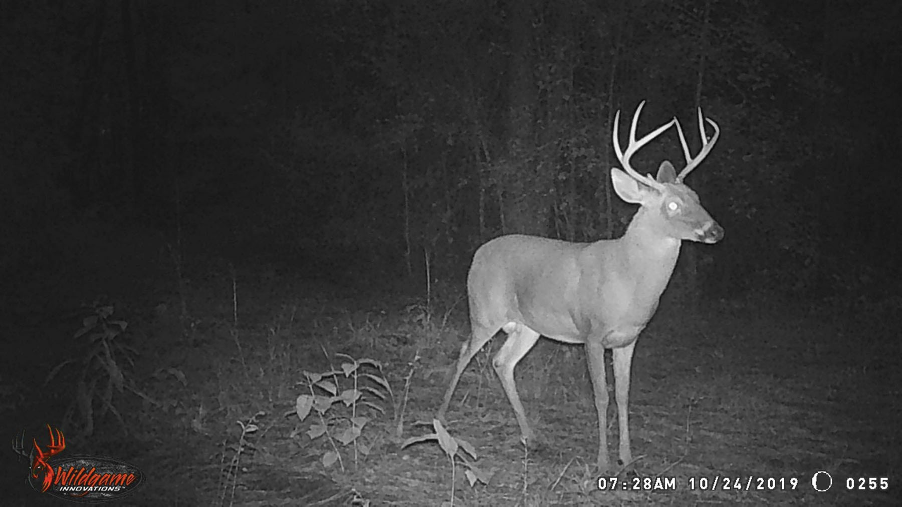 Avalon Timberlands property picture 51 of 68