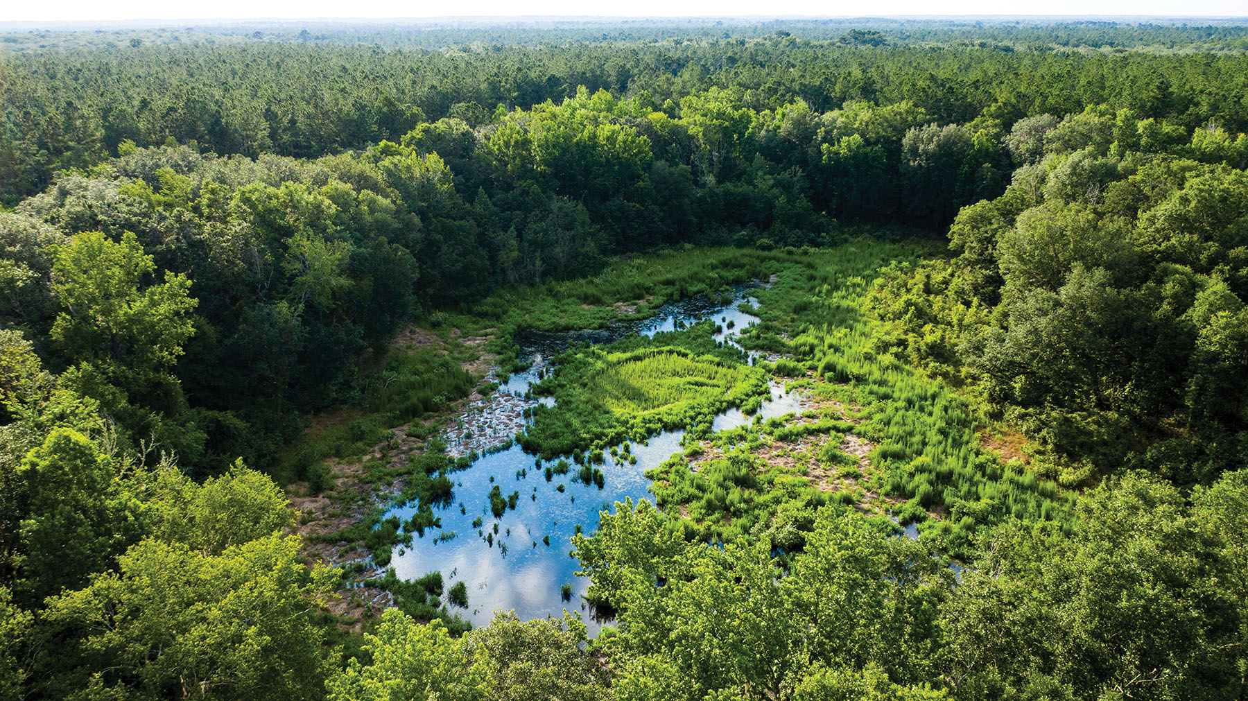 Avalon Timberlands property picture 24 of 68