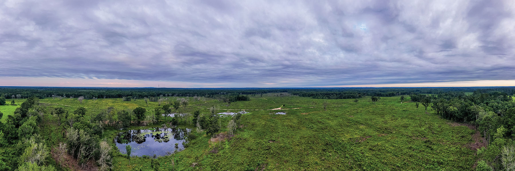 Avalon Timberlands property picture 64 of 68