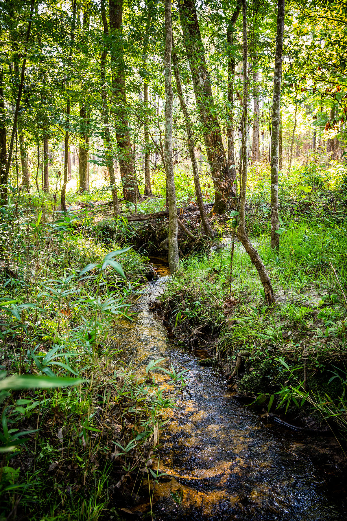 Avalon Timberlands property picture 10 of 68