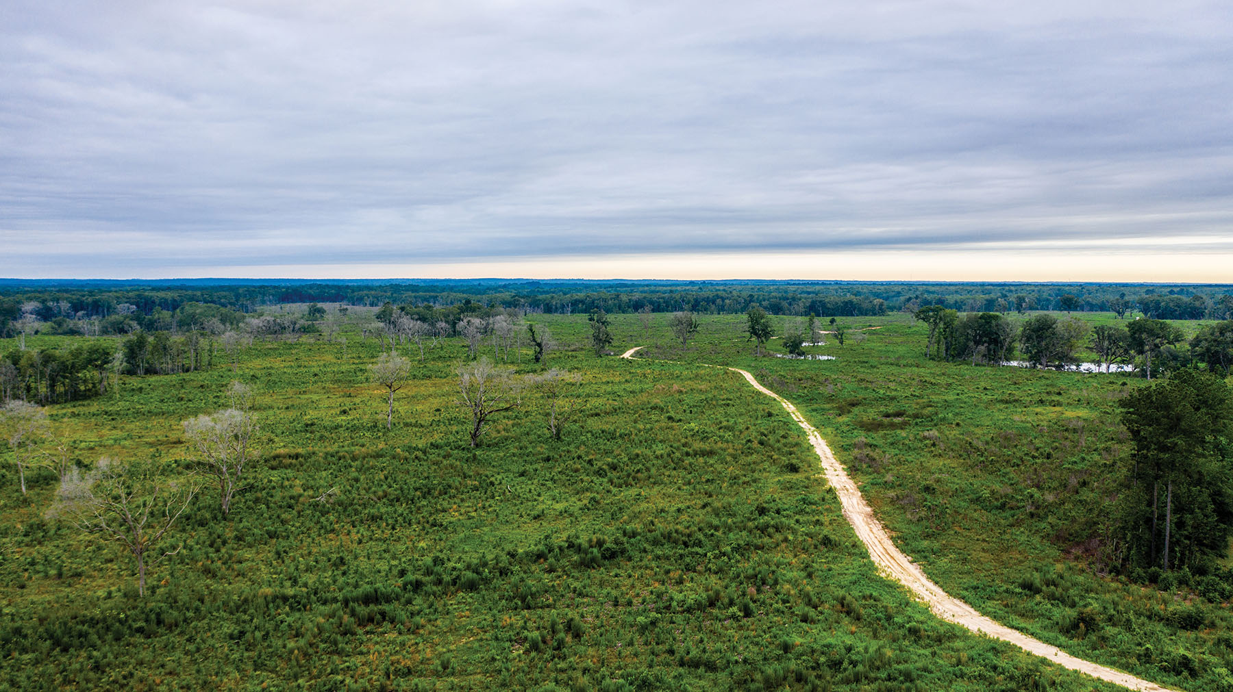 Avalon Timberlands property picture 62 of 68