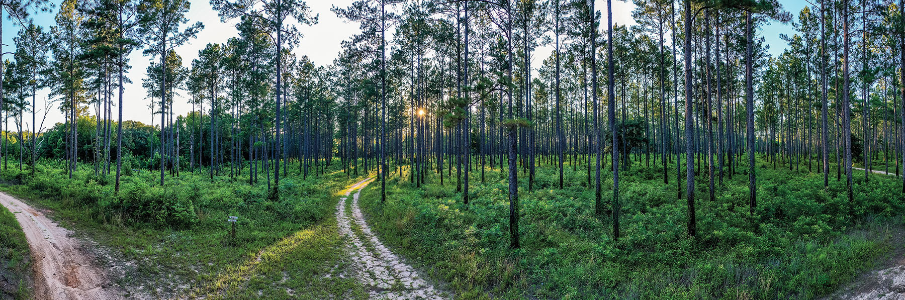 Avalon Timberlands property picture 61 of 68