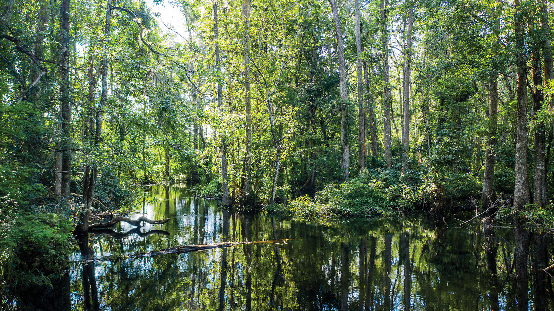 Avalon Timberlands property picture 39 of 68