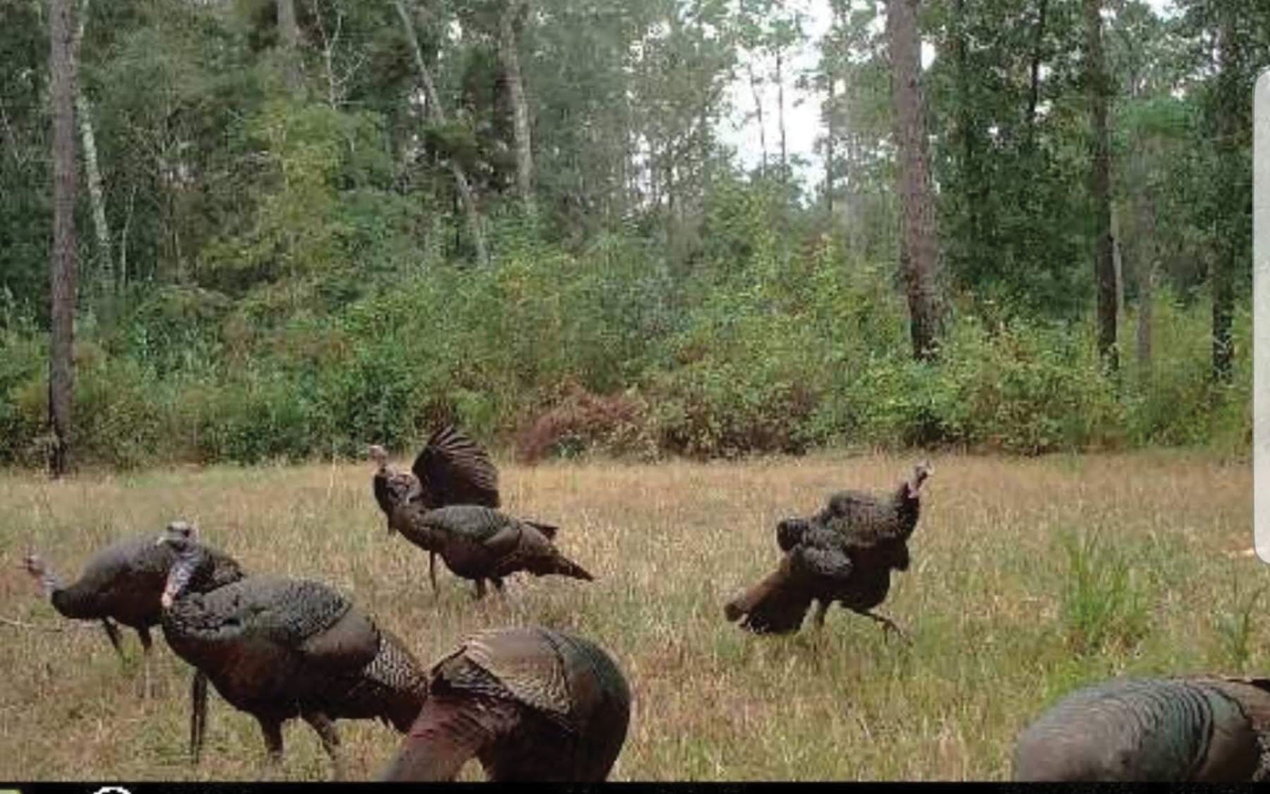 Avalon Timberlands property picture 56 of 68