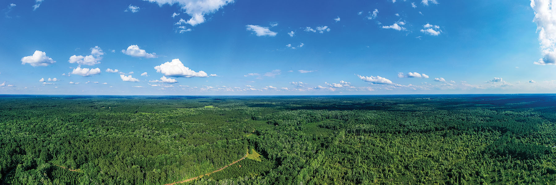 Avalon Timberlands property picture 55 of 68