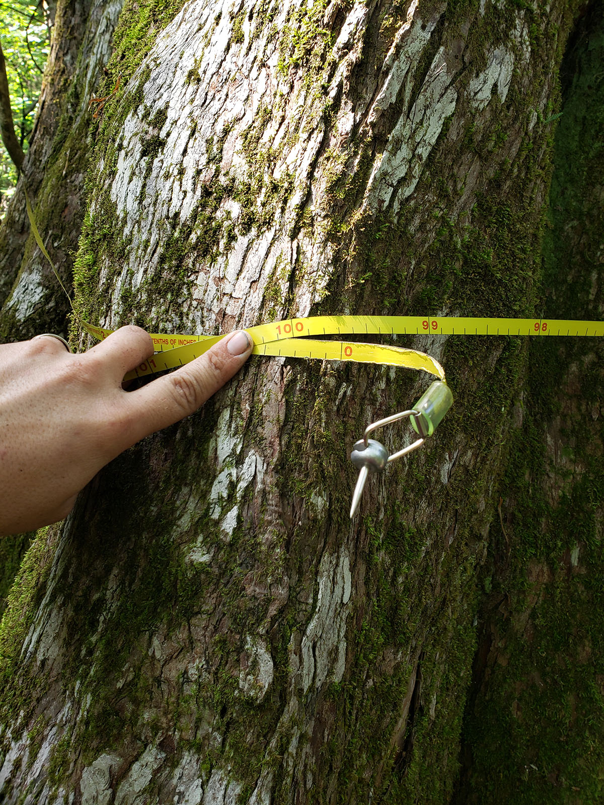 Avalon Timberlands property picture 12 of 68