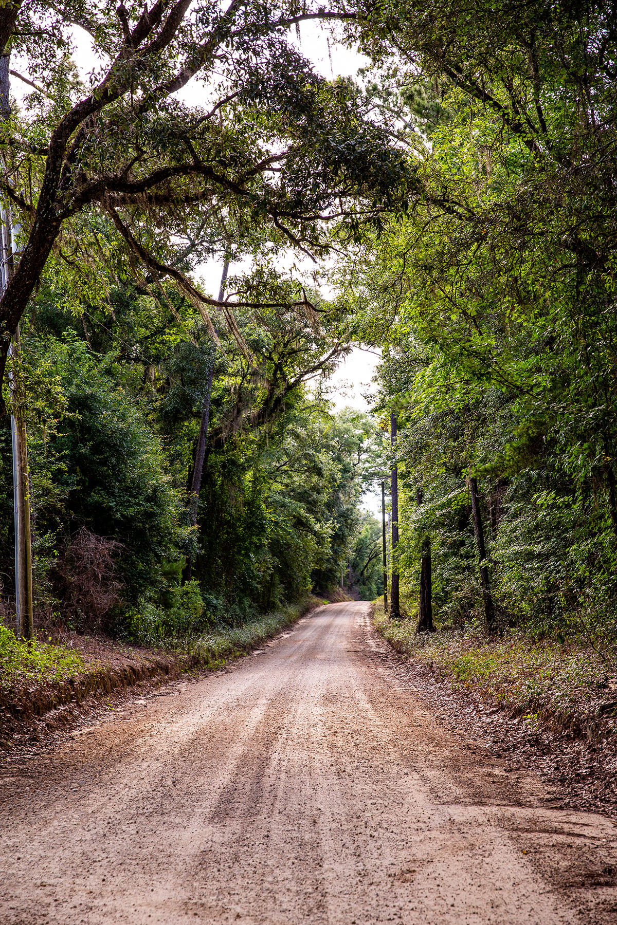 Avalon Timberlands property picture 65 of 68