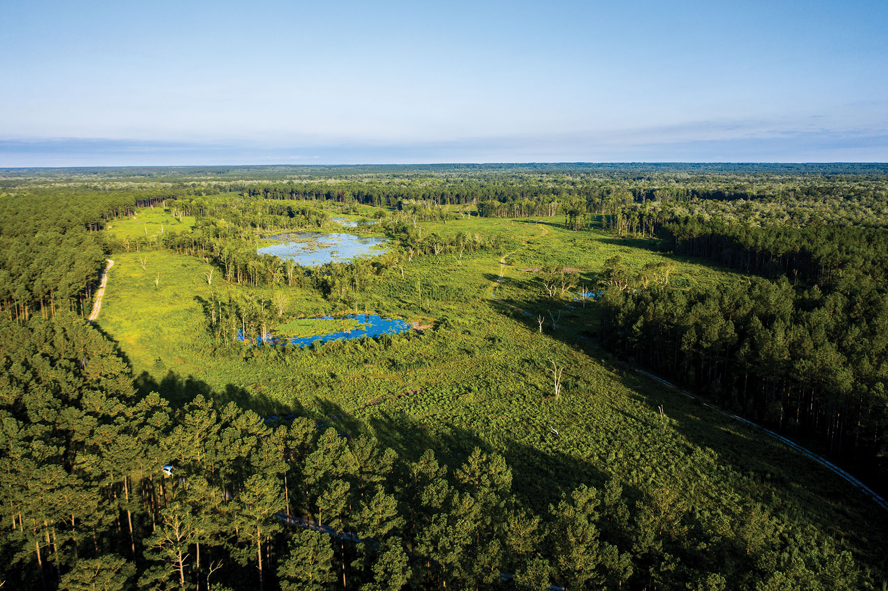 Avalon Timberlands property picture 33 of 68