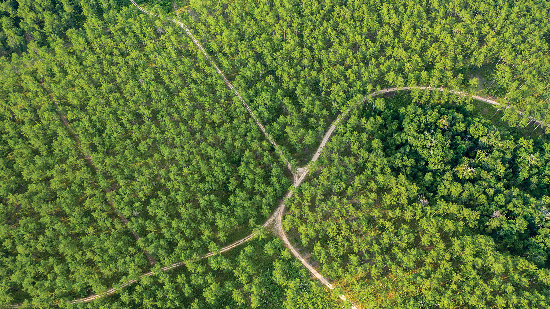 Avalon Timberlands property picture 15 of 68