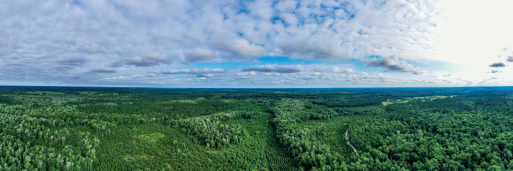 Avalon Timberlands property picture 37 of 68