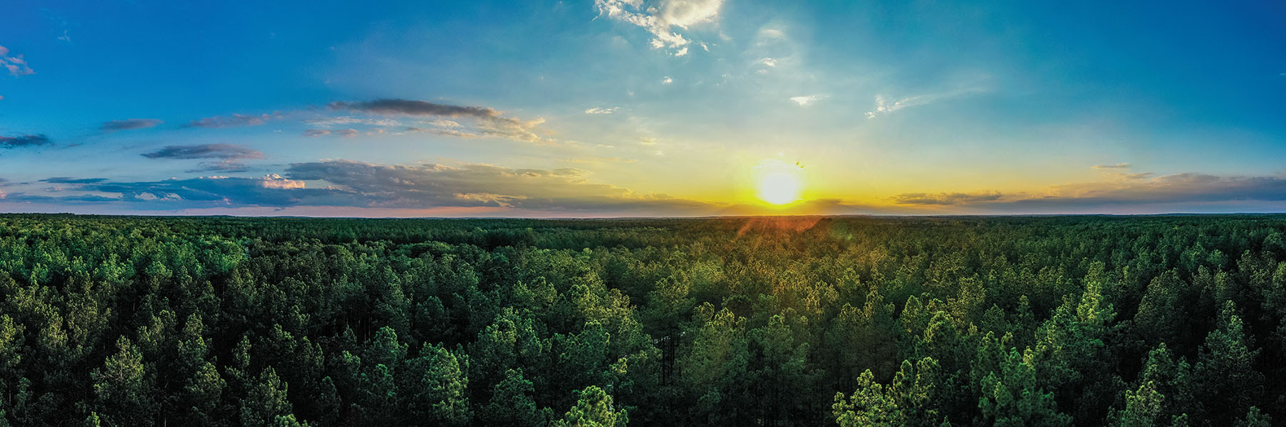 Avalon Timberlands property picture 29 of 68