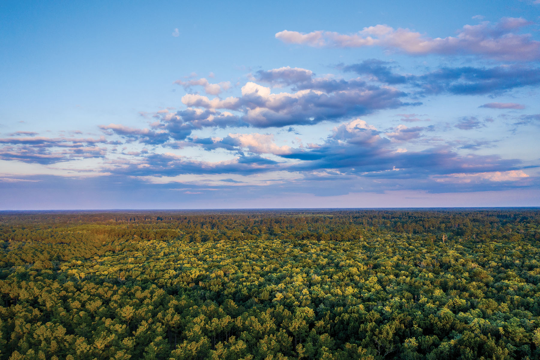 Avalon Timberlands property picture 22 of 68