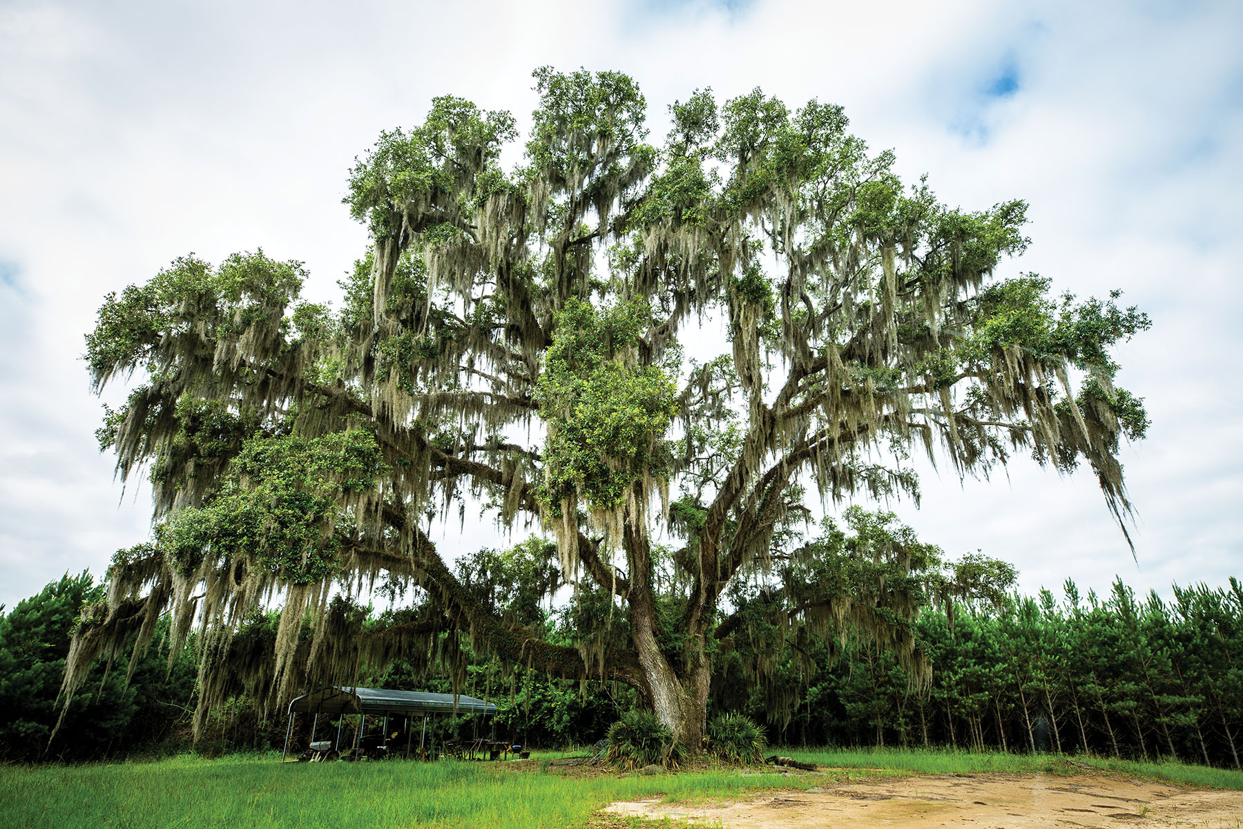 Avalon Timberlands property picture 34 of 68