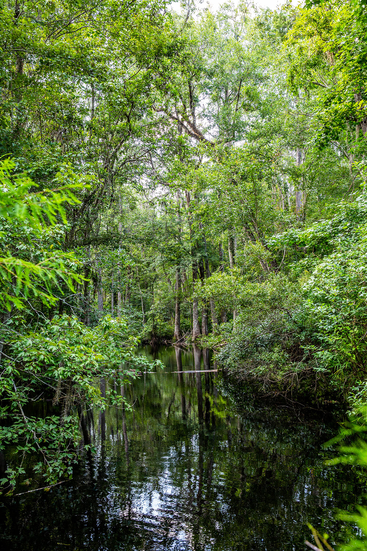 Avalon Timberlands property picture 38 of 68