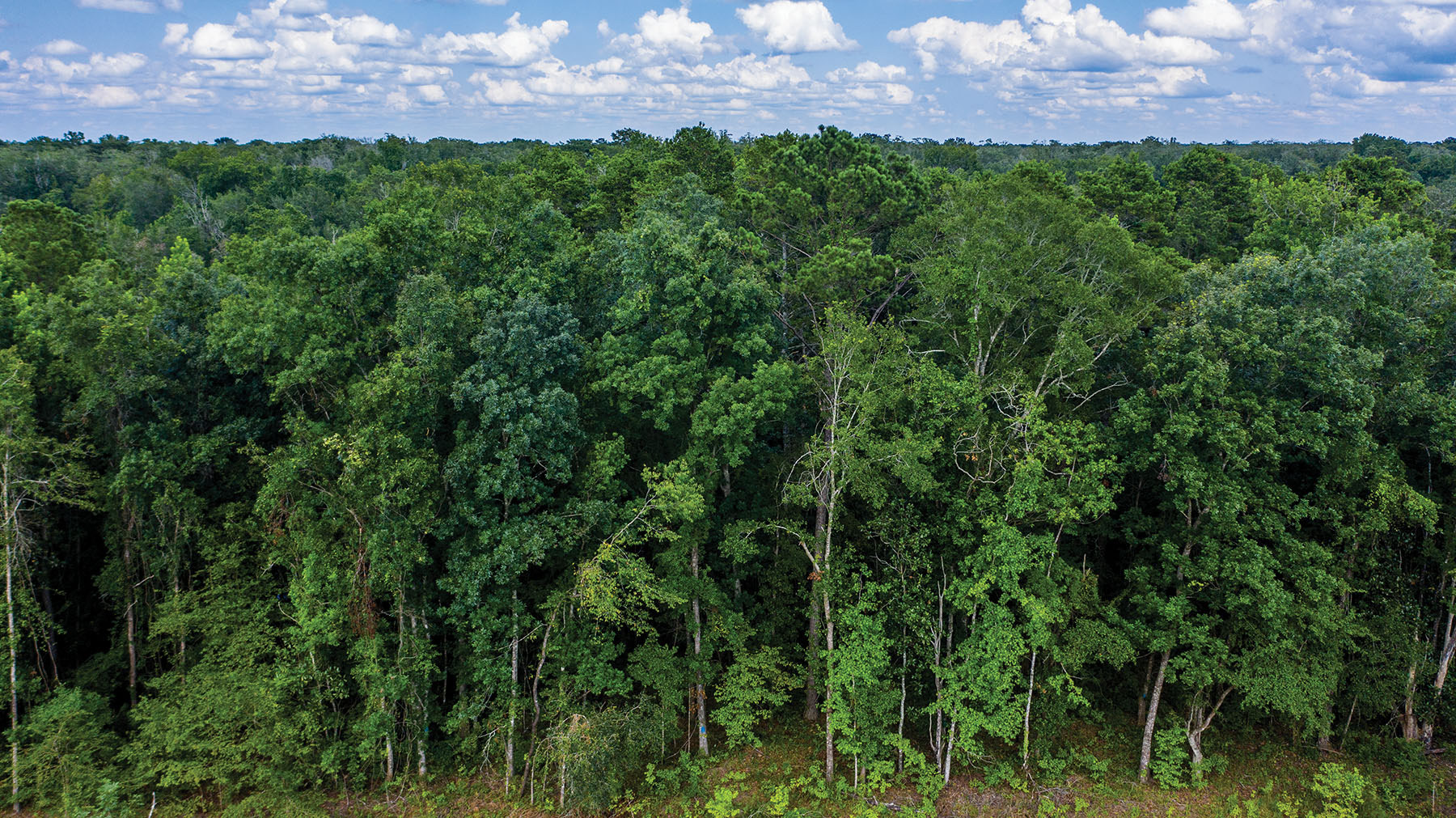 Avalon Timberlands property picture 40 of 68