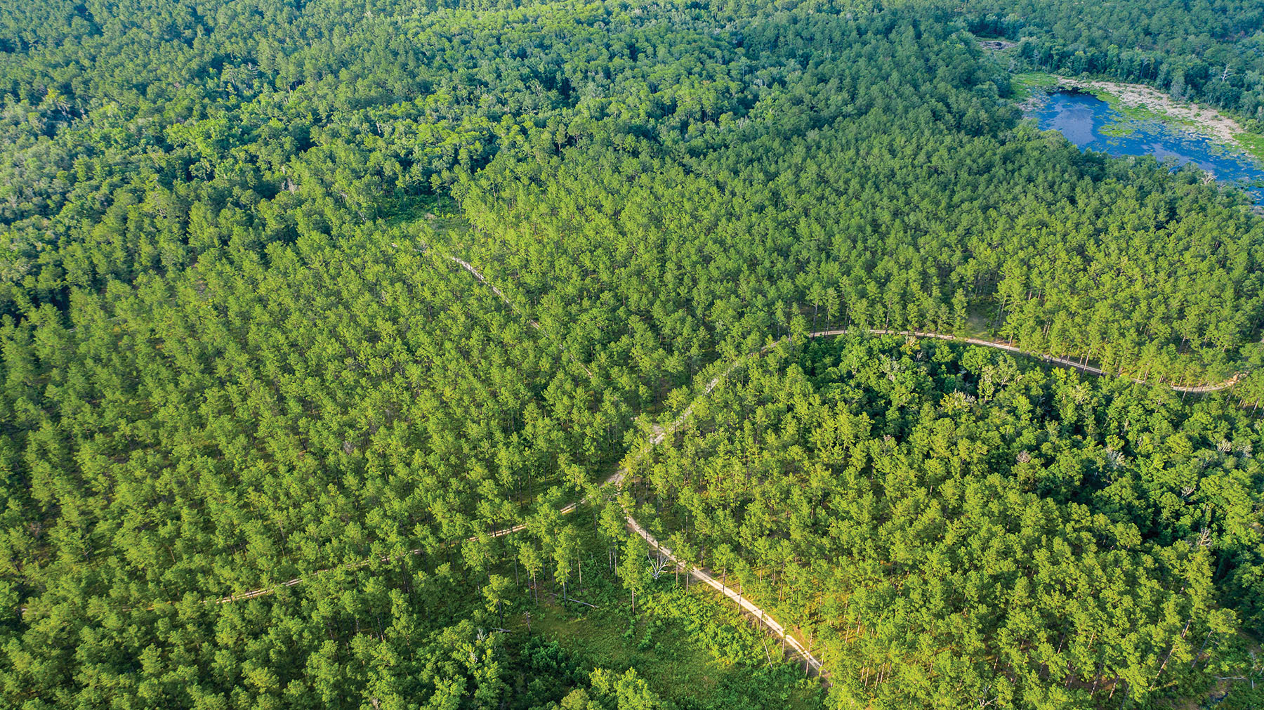 Avalon Timberlands property picture 27 of 68