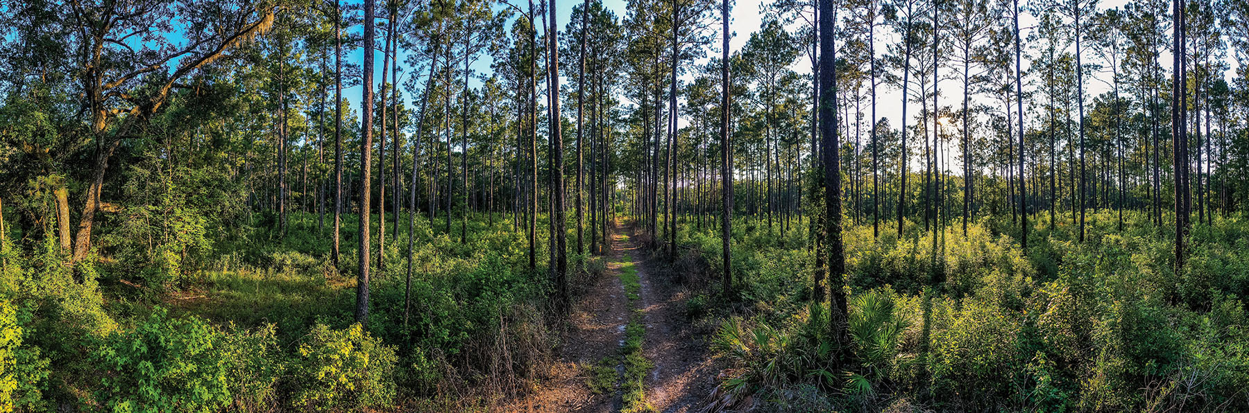 Avalon Timberlands property picture 8 of 68
