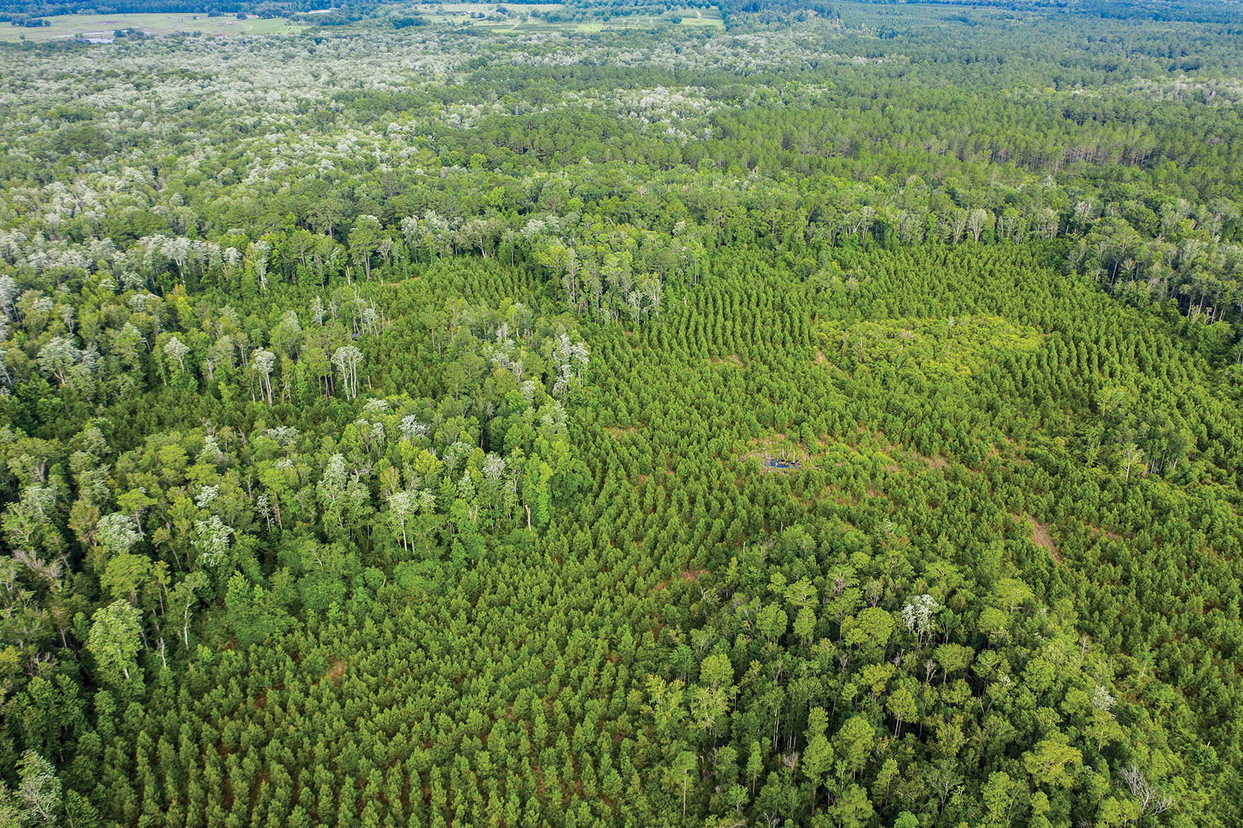 Avalon Timberlands property picture 36 of 68