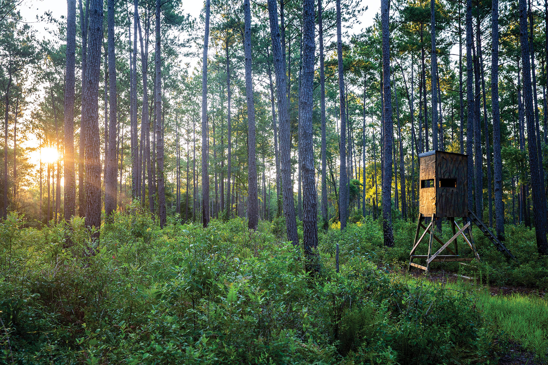 Avalon Timberlands property picture 18 of 68