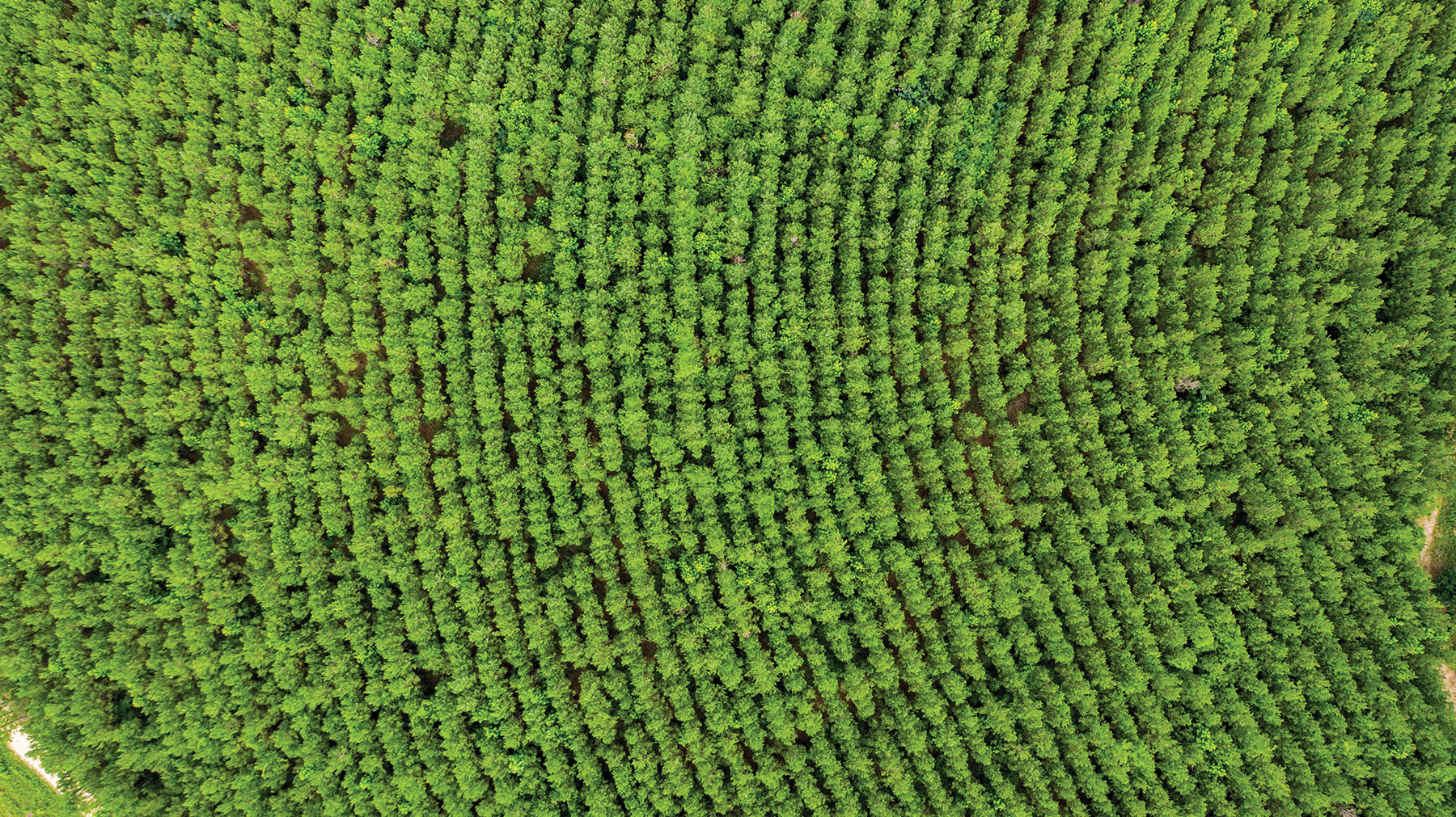 Avalon Timberlands property picture 17 of 68