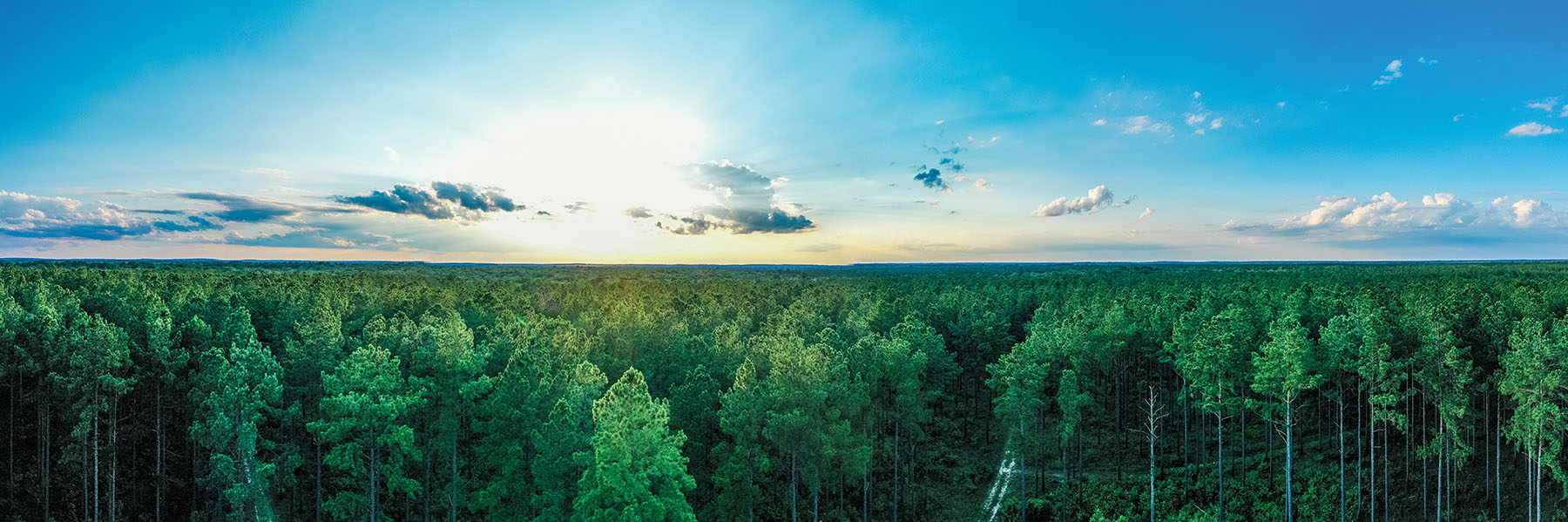 Avalon Timberlands property picture 4 of 68