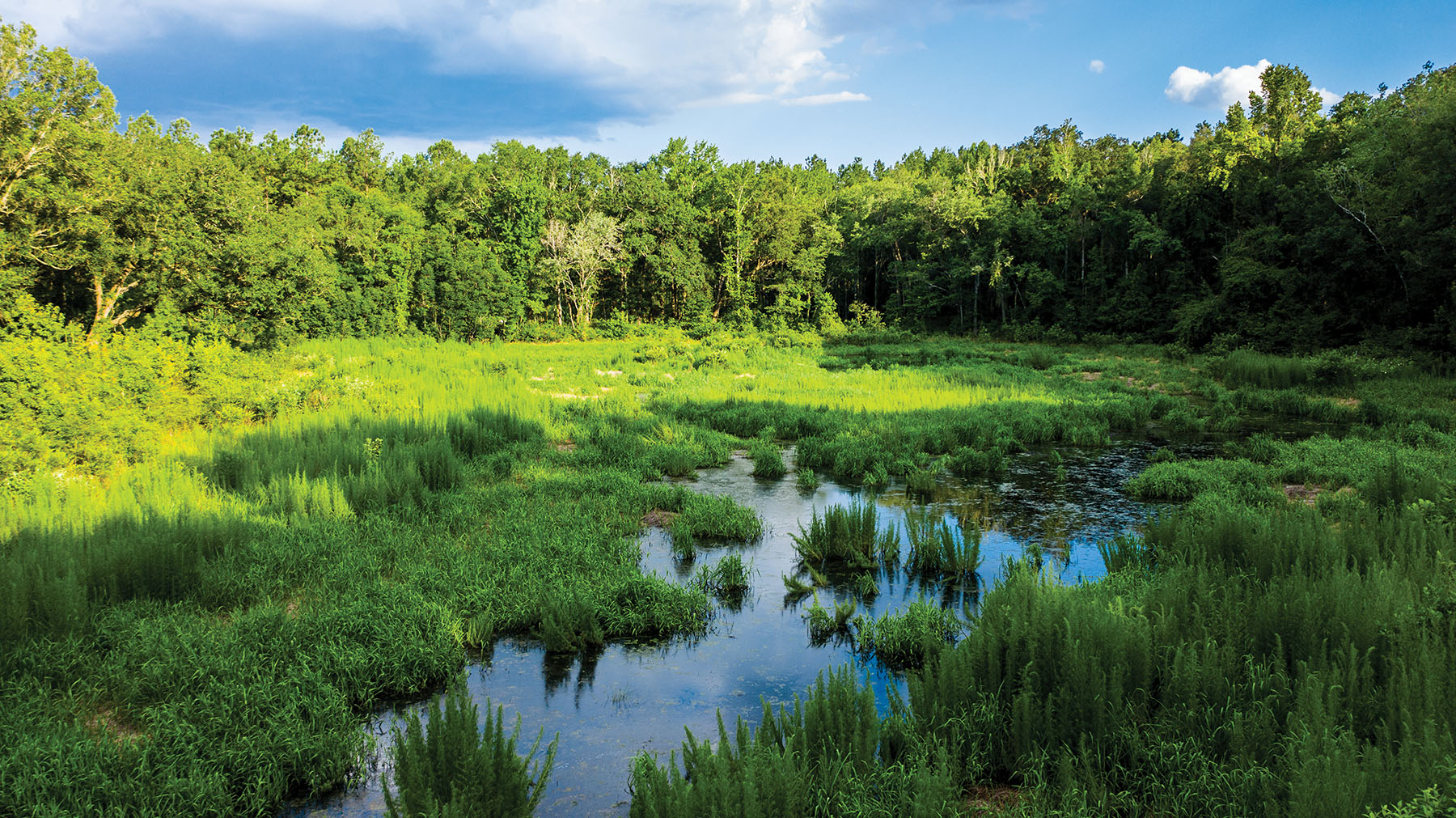 Avalon Timberlands property picture 25 of 68