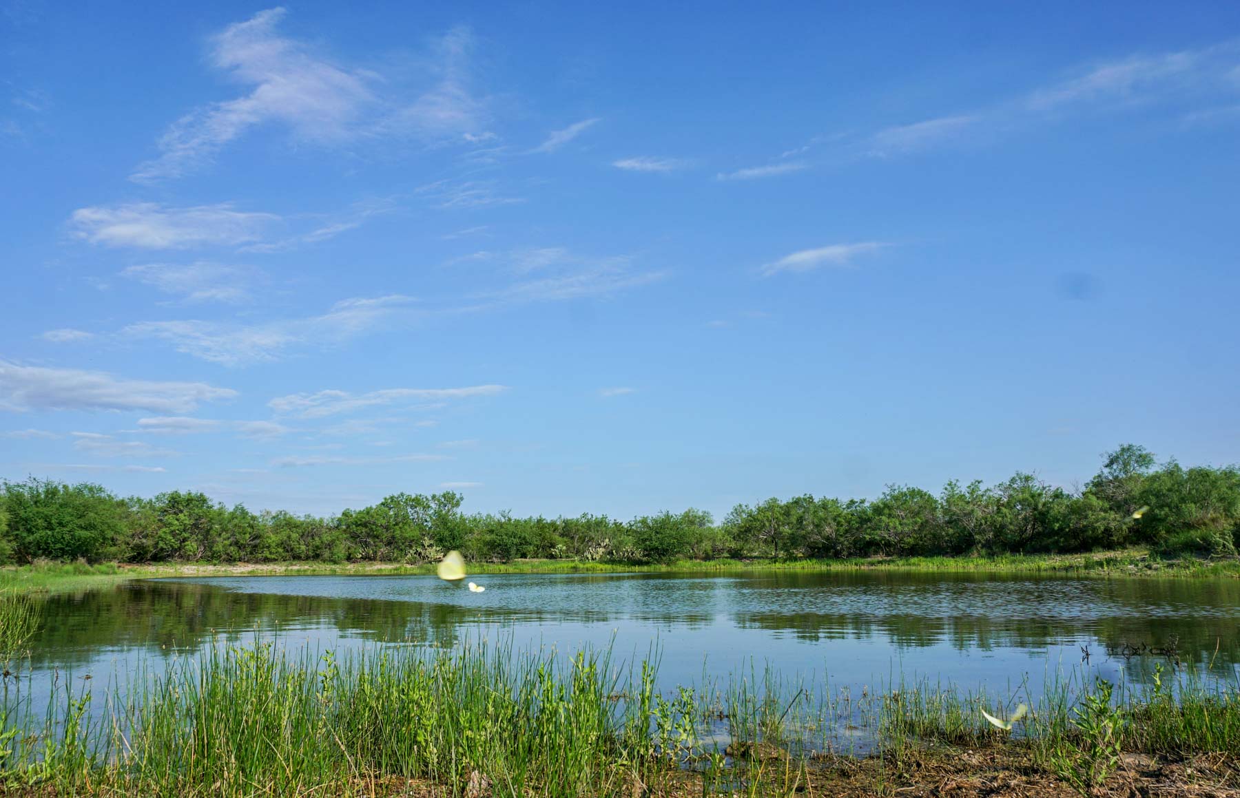 Mi Cancion Ranch property picture 48 of 49