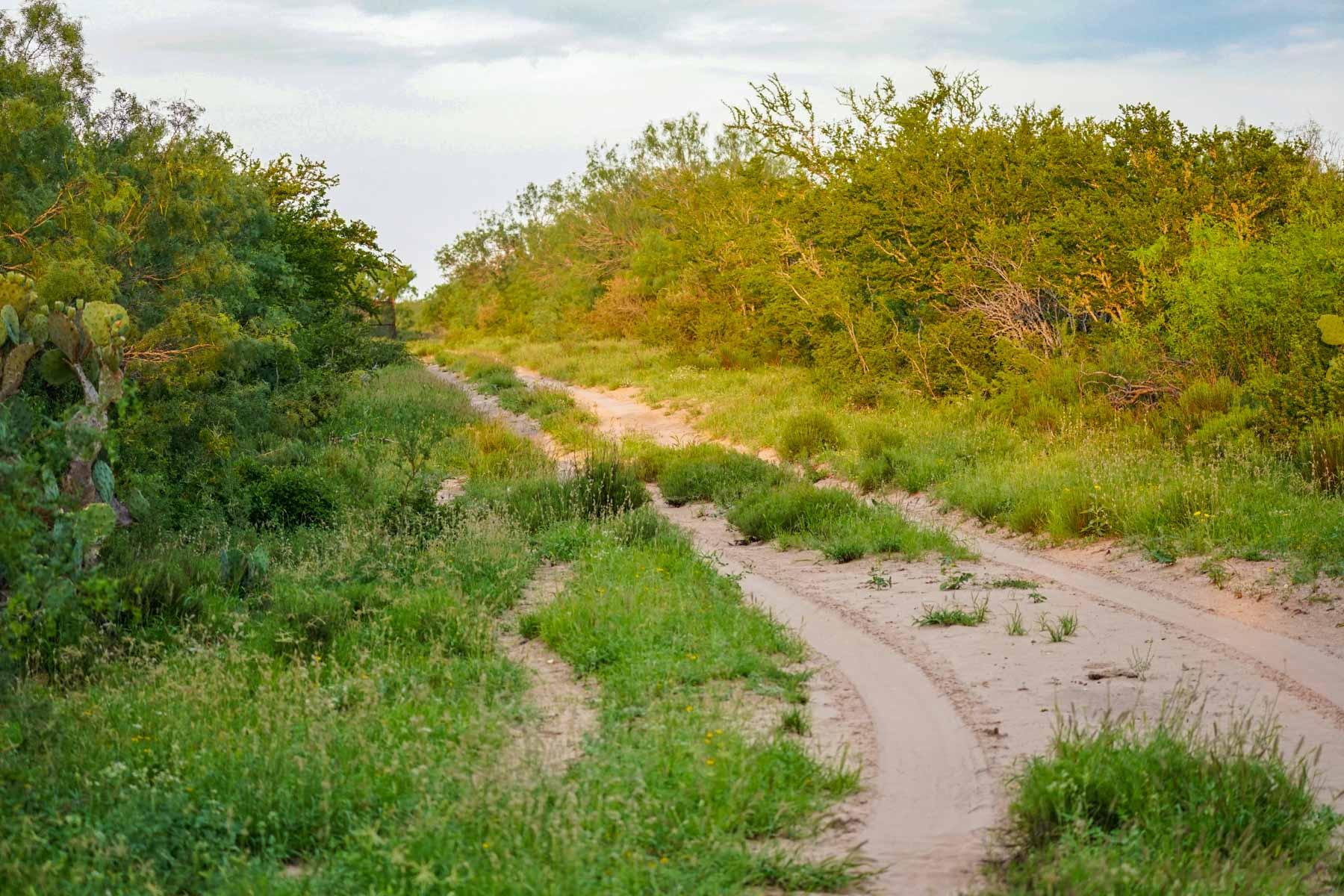 Mi Cancion Ranch property picture 36 of 49